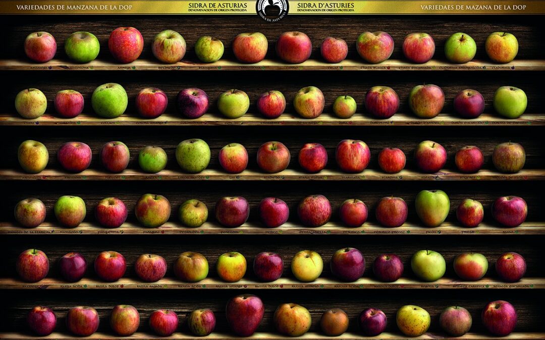 Variedades de manzanas para hacer sidra