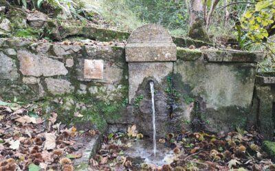 La fuente de Cañu