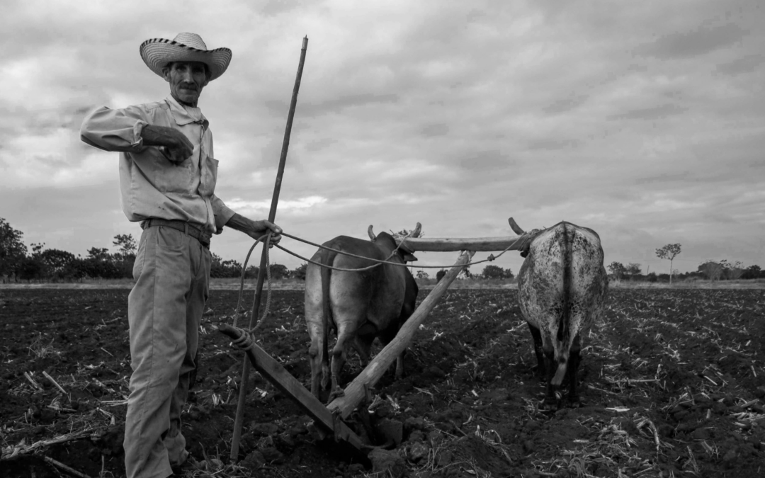 Ganadería y Agricultura en los años 70.