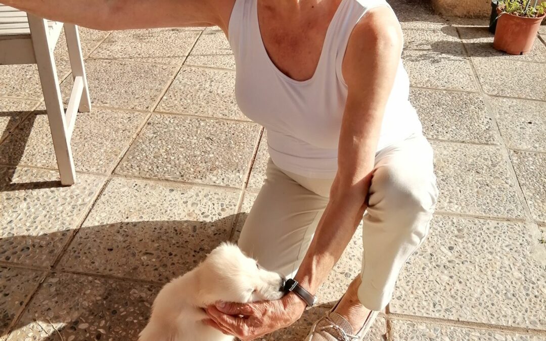 Una profesora revolucionaria